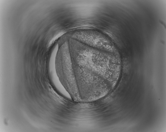 X0000098151402200805151153