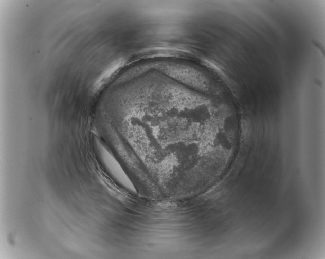 X0000098151403200805151153