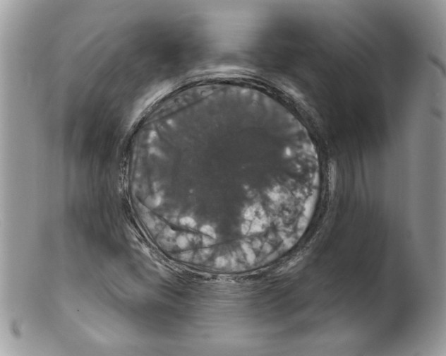 X0000098151405200805151153
