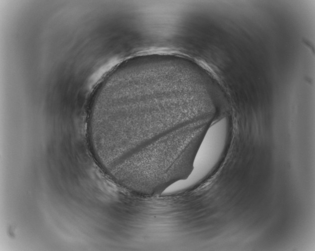 X0000098151406200805151153