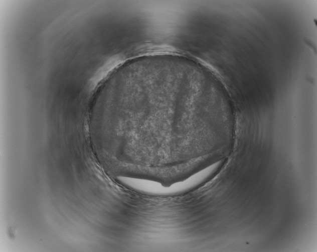 X0000098151407200805151153