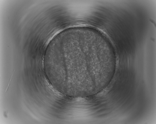 X0000098151409200805151153