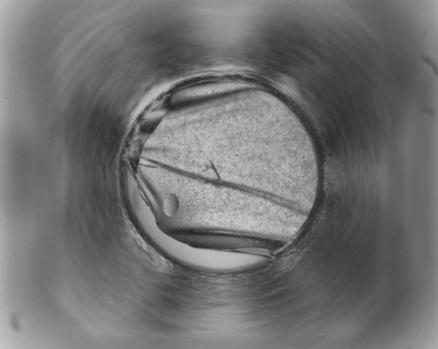 X0000098151412200805151153