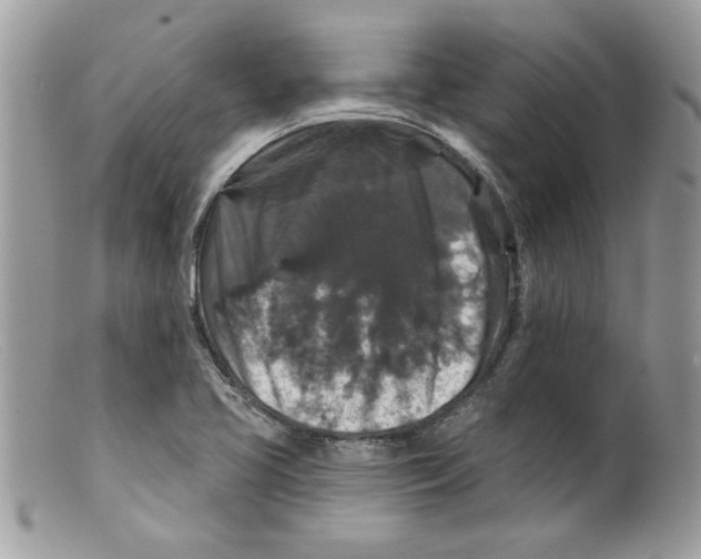 X0000098151413200805151153