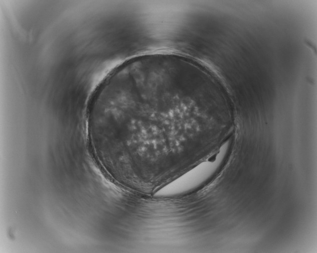 X0000098151414200805151153