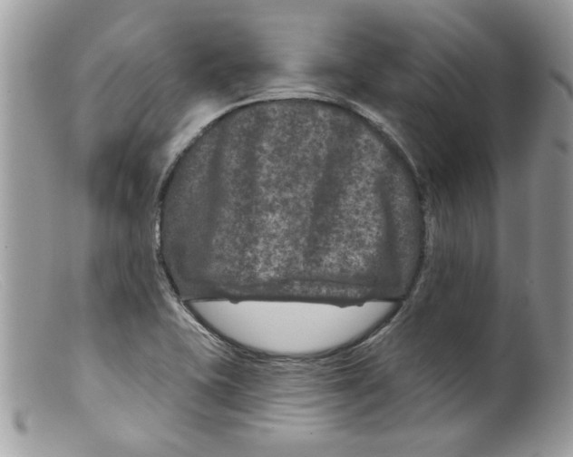 X0000098151415200805151153