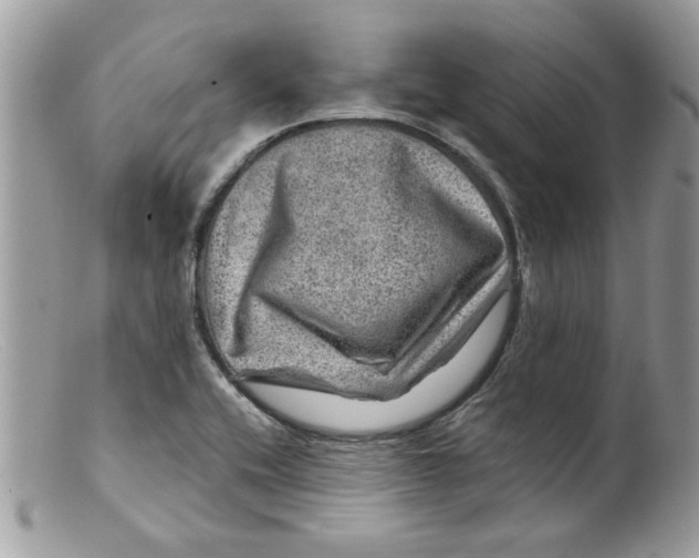 X0000098151416200805151153