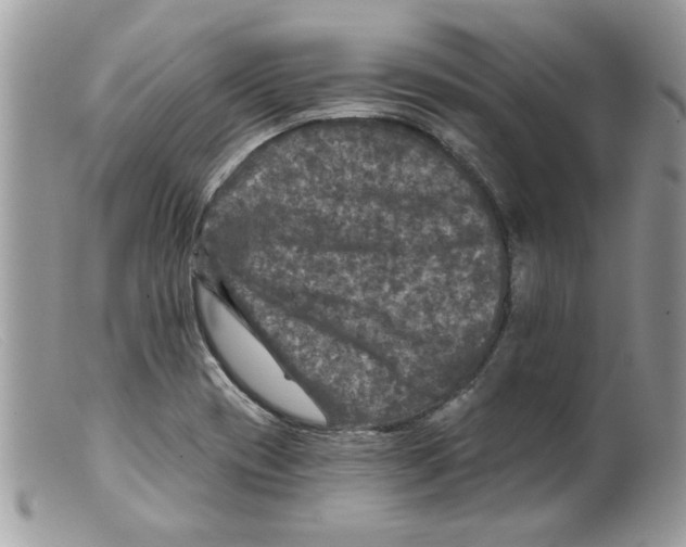 X0000098151417200805151153