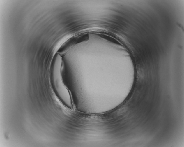X0000098151418200805151153