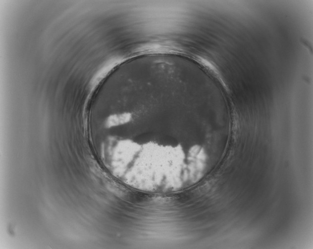 X0000098151419200805151153