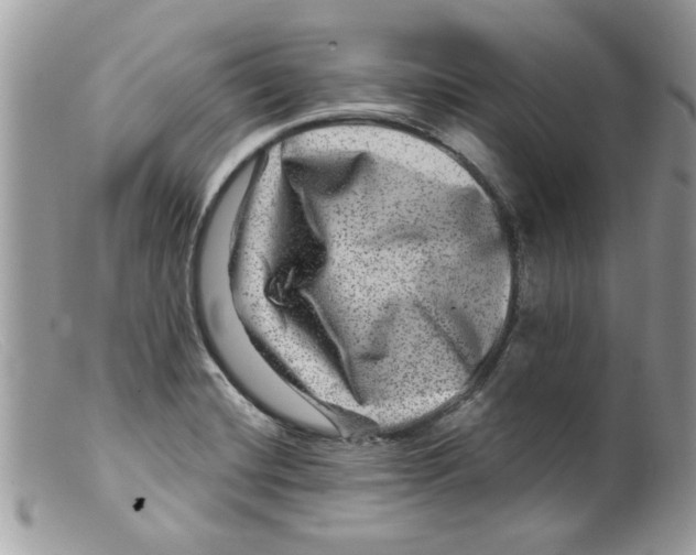 X0000098151420200805151153