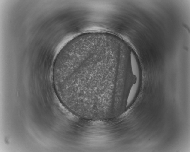 X0000098151421200805151153