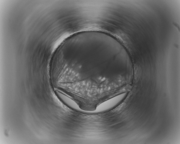 X0000098151422200805151153