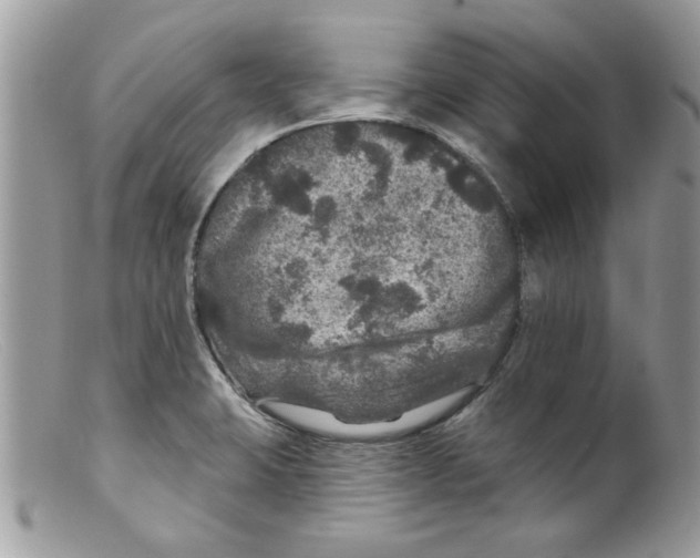 X0000098151423200805151153