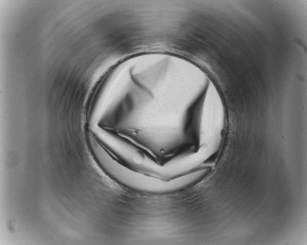 X0000098151424200805151153