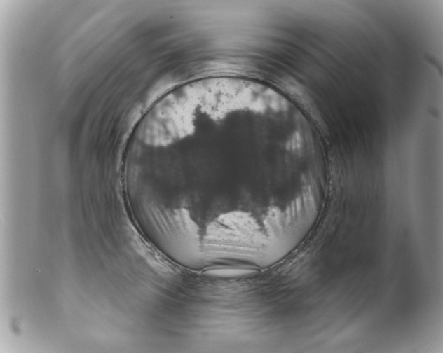 X0000098151427200805151154