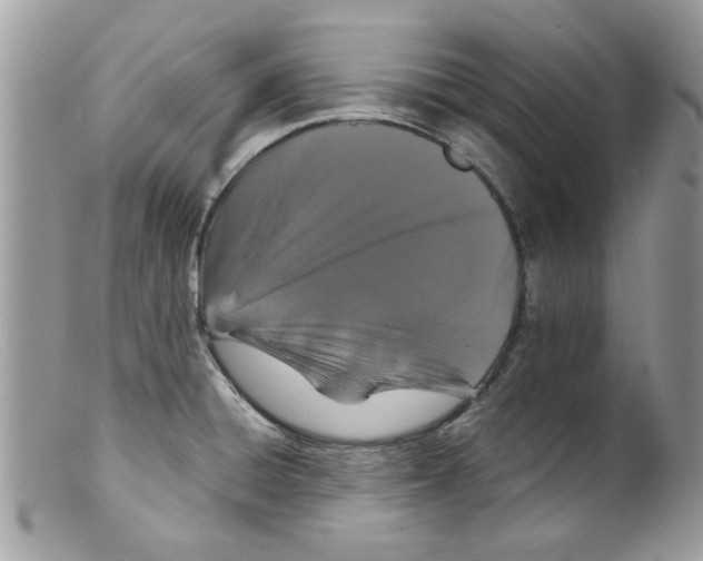 X0000098151428200805151154