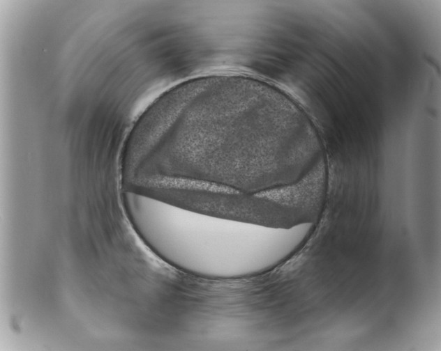 X0000098151430200805151154