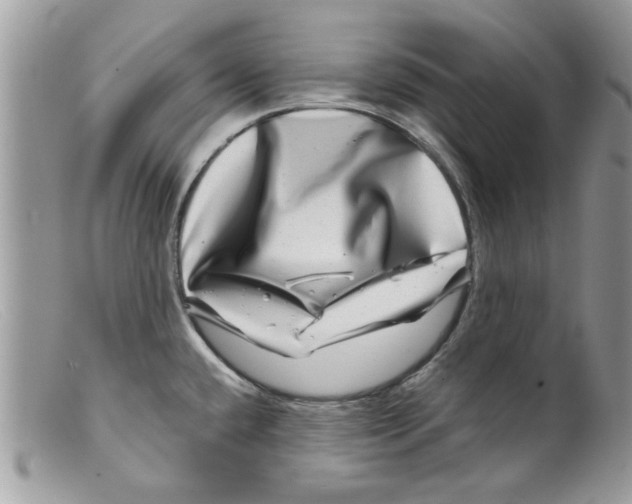 X0000098151432200805151154