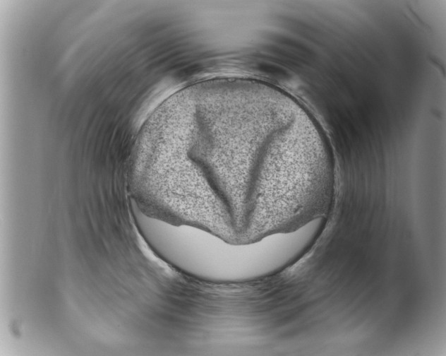 X0000098151433200805151154