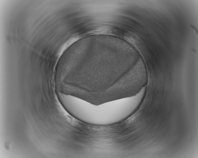X0000098151434200805151154