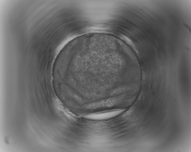 X0000098151435200805151154