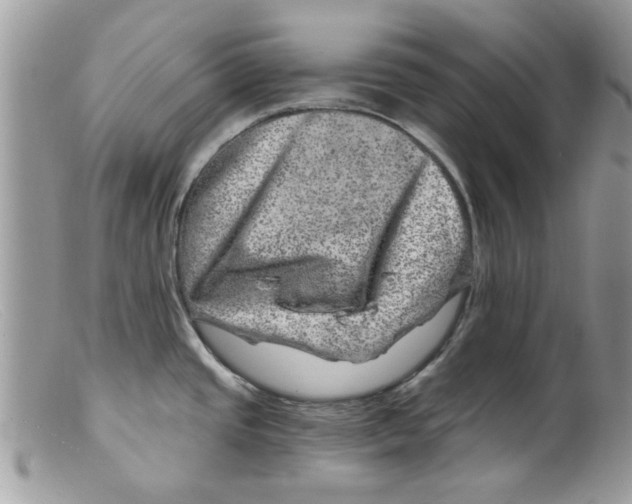 X0000098151437200805151154
