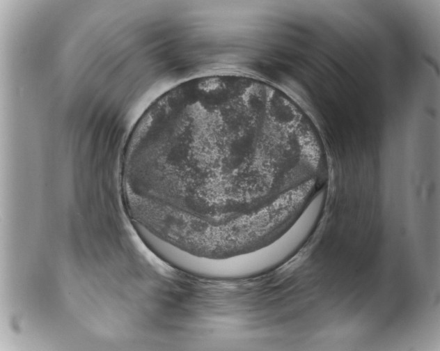 X0000098151438200805151154