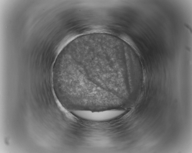 X0000098151439200805151154