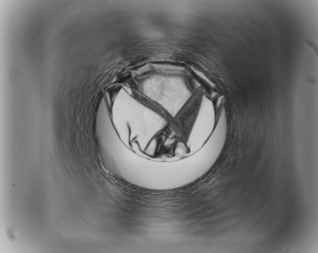 X0000098151441200805151153