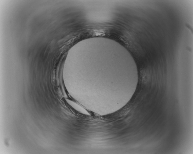 X0000098151442200805151153