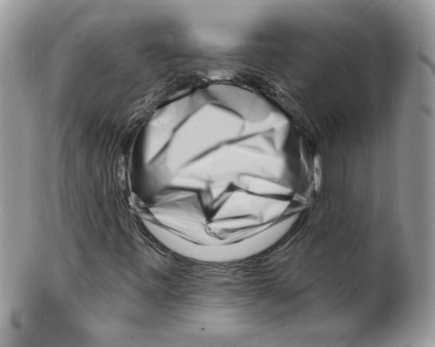 X0000098151443200805151153