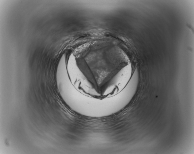 X0000098151444200805151153