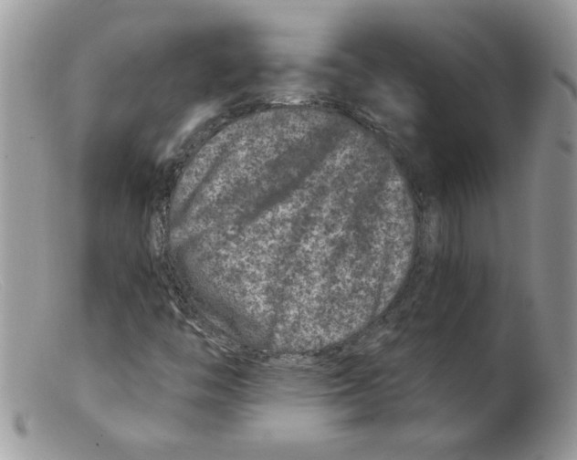 X0000098151446200805151153