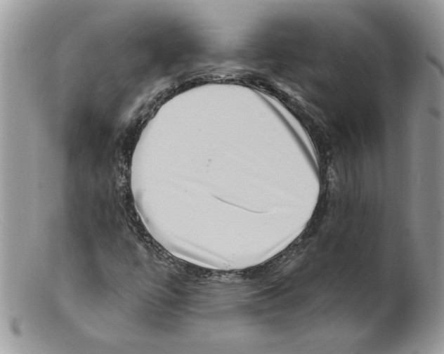 X0000098151447200805151153
