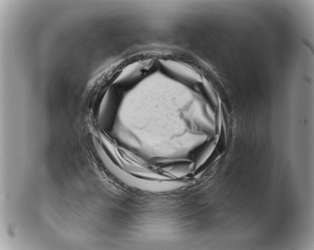 X0000098151448200805151153