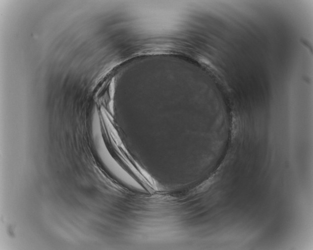 X0000098151449200805151153