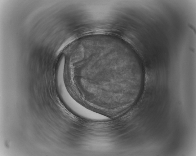 X0000098151450200805151153