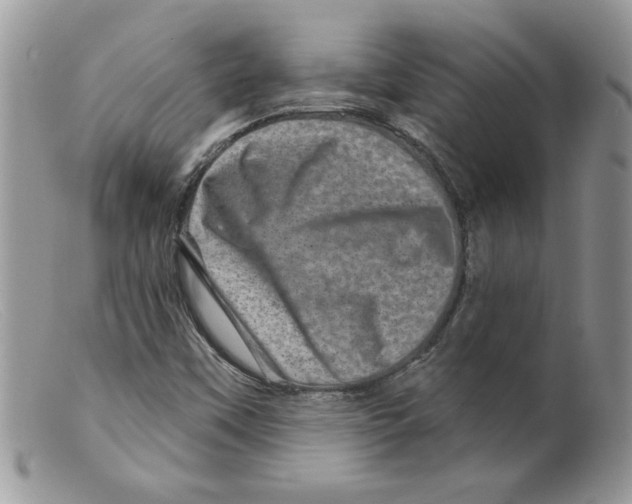 X0000098151451200805151153