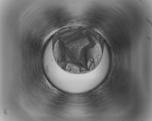 X0000098151452200805151153