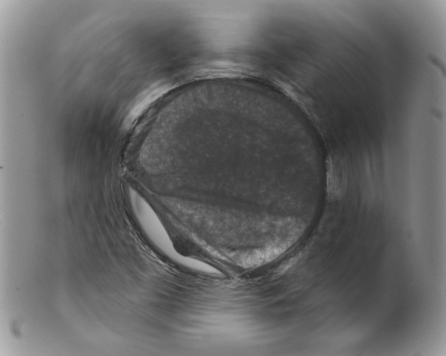 X0000098151453200805151153
