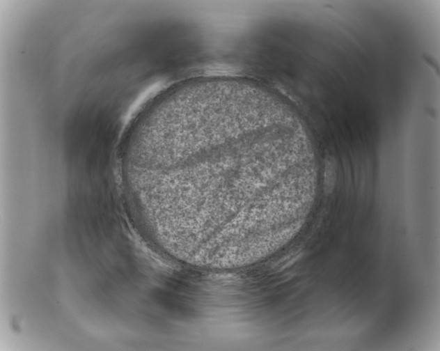 X0000098151454200805151153