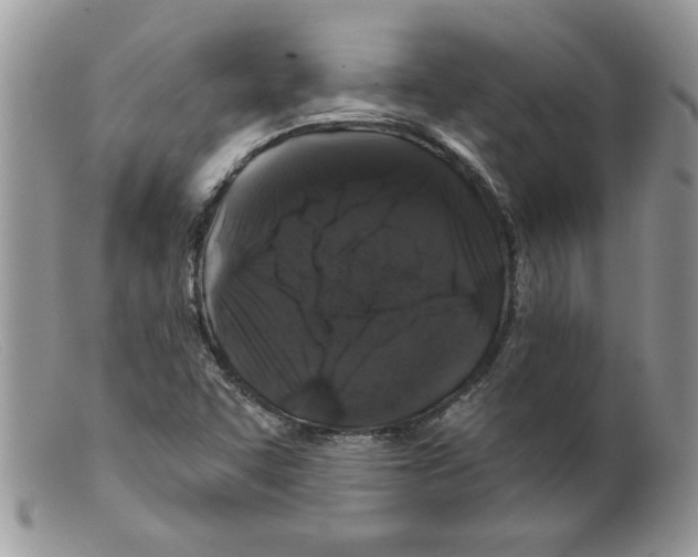 X0000098151455200805151153