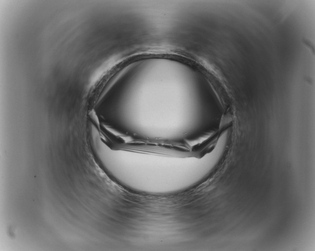 X0000098151456200805151153