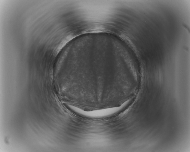 X0000098151457200805151153