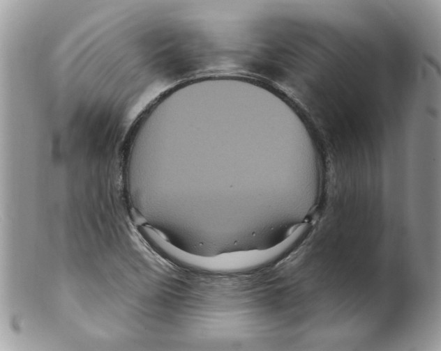 X0000098151458200805151153