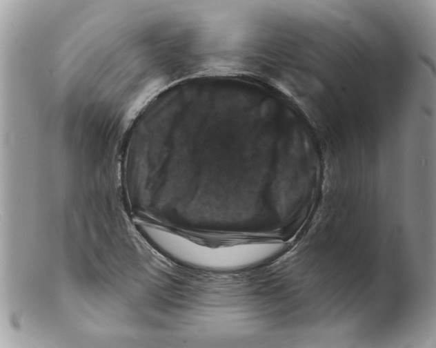 X0000098151459200805151153
