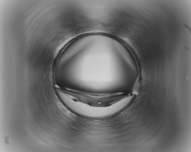 X0000098151460200805151153