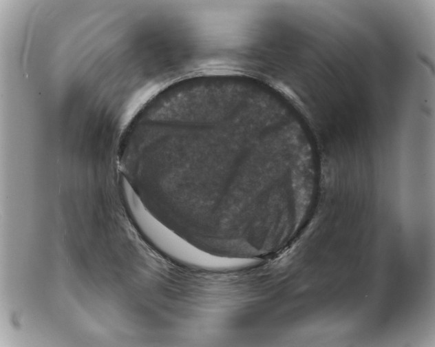 X0000098151461200805151153