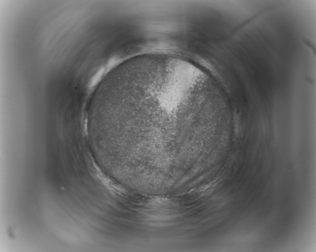 X0000098151462200805151153